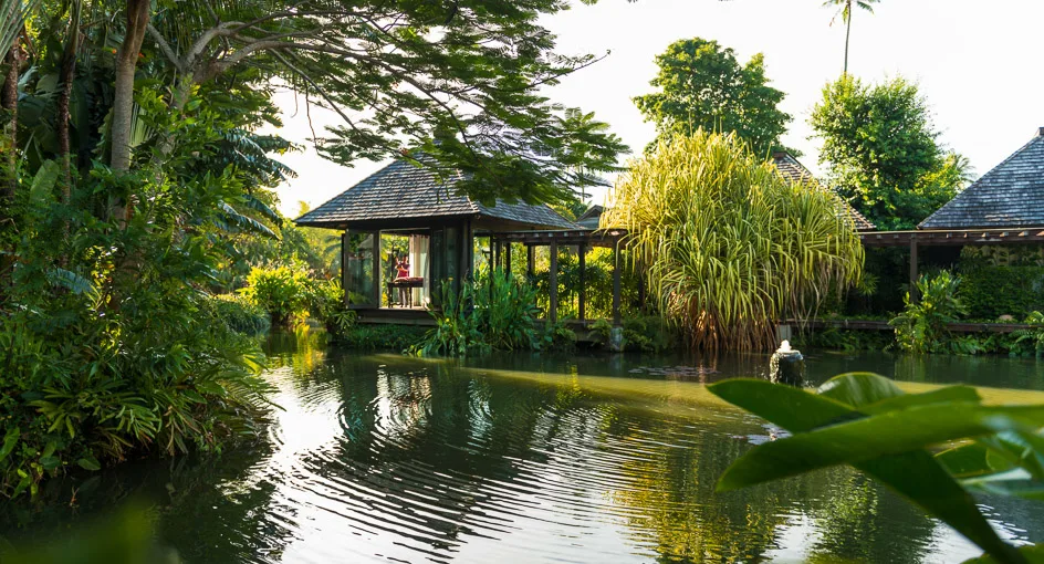 Wellness Retreats in Thailand