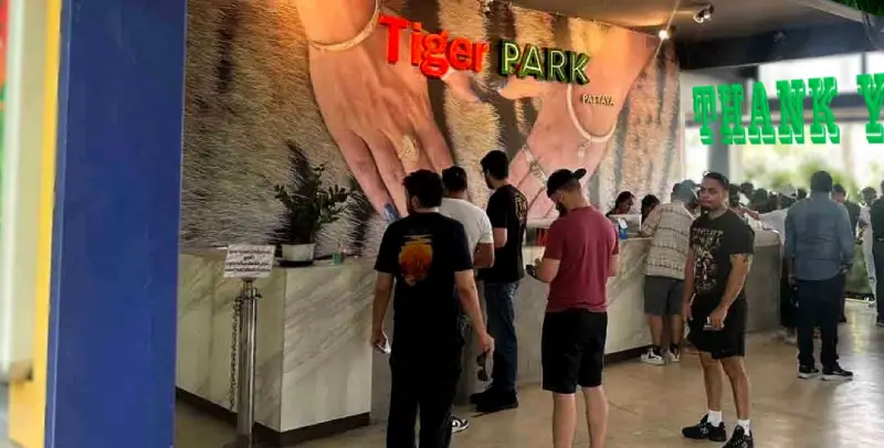 Tiger Park Pattaya Ticket Booth