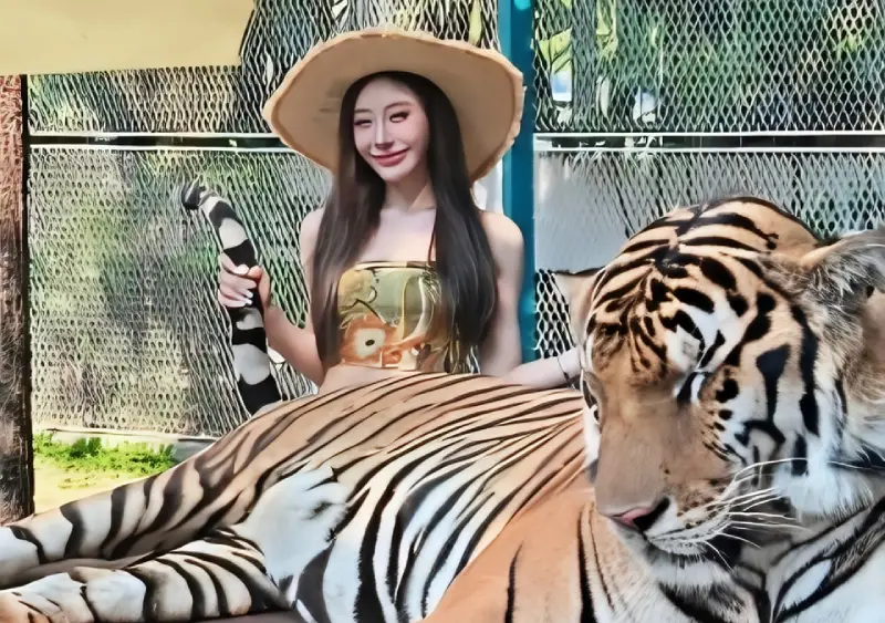 Travel Tips Thailand Tiger Park Pattaya